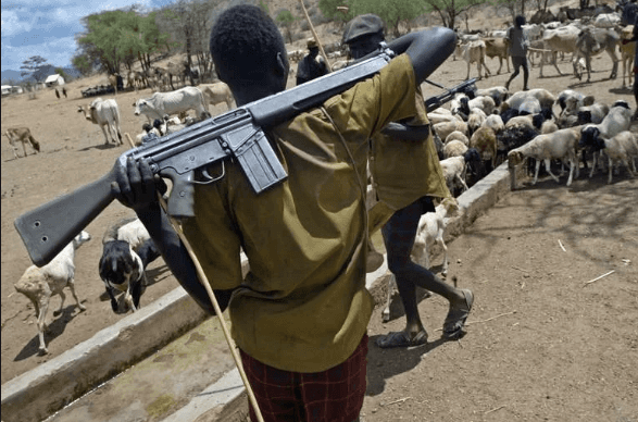 Cattle Rustlers Kill Secondary School Student In Niger